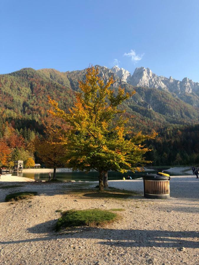 Apartments Vita Kranjska Gora Exterior foto